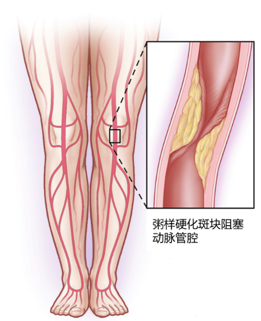 1629725843728854.png 1629725843728854.png