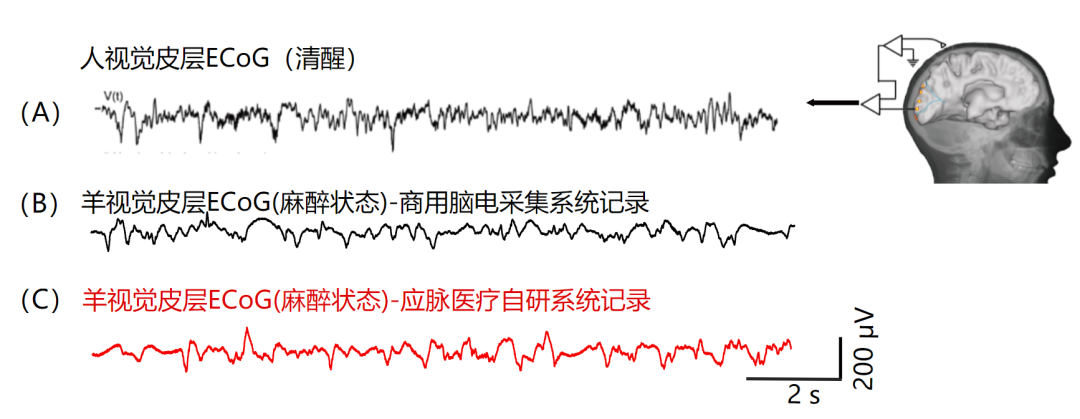 1675675470296682.png 1675675470296682.png